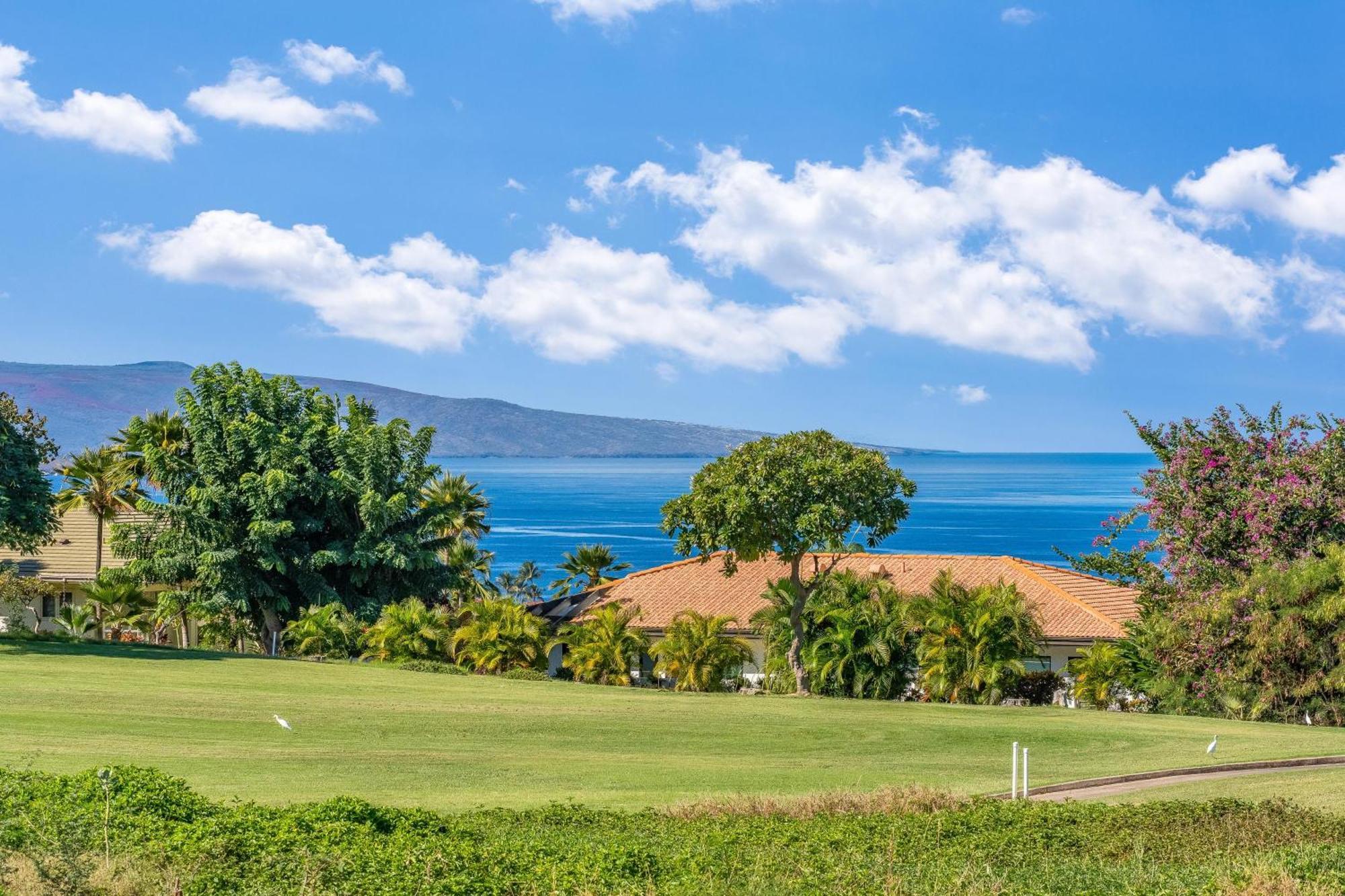 Wailea Ekolu 1604 Hébergement de vacances Kihei