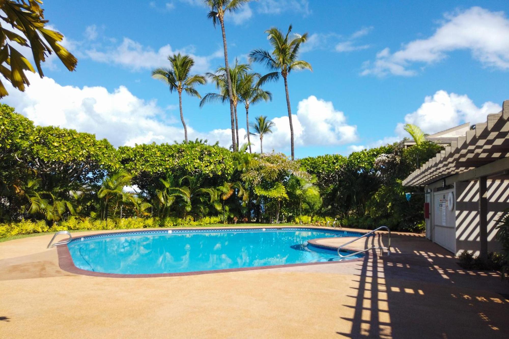 Wailea Ekolu 1604 Kihei